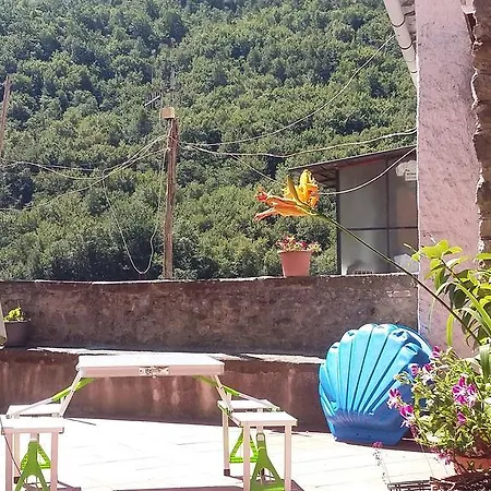 Puravida *